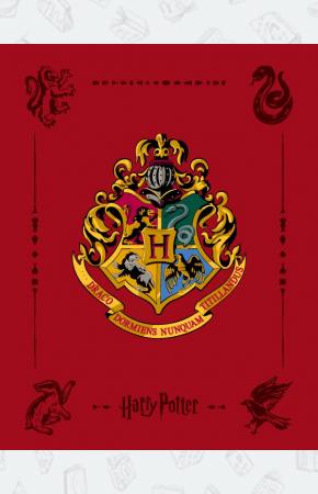 Планшет для записи 