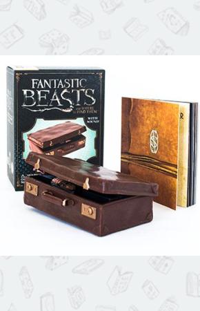 Игрушка Fantastic Beasts and Where to Find Them: Newt Scamander's Case 