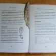 Закладка Перо Феникса - pic 5