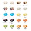 Драже Jelly Belly BeanBoozled с вращающимся диском 100г - pic 2