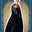 Фигурная магнитная закладка. Гарри Поттер - pic 1