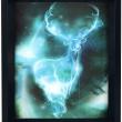 3D постер Harry Potter (Expecto Patronum) - pic 3