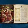 Кулинарная книга Гарри Поттера. Иллюстрированное неофициальное издание - pic 5