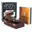 Игрушка Fantastic Beasts and Where to Find Them: Newt Scamander's Case - pic 1