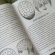 Комплект книг из Гарри Поттера. 5 учебников Хогвартса - pic 14